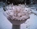 Cliquez sur l'image pour la voir en taille relle 

Nom : 		neige.jpg 
Affichages :	109 
Taille :		206,8 Ko 
ID : 			4007515