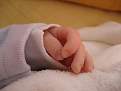 Cliquez sur l'image pour la voir en taille relle 

Nom : 		IMG_0621.JPG 
Affichages :	252 
Taille :		2,12 Mo 
ID : 			4018820