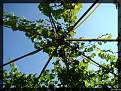 Cliquez sur l'image pour la voir en taille relle 

Nom : 		DSC02930.JPG 
Affichages :	233 
Taille :		892,0 Ko 
ID : 			4019634