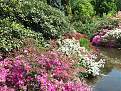 Cliquez sur l'image pour la voir en taille relle 

Nom : 		DSCF4164.jpg 
Affichages :	121 
Taille :		103,5 Ko 
ID : 			4024588