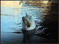 Cliquez sur l'image pour la voir en taille relle 

Nom : 		DSCF0251-border.jpg 
Affichages :	186 
Taille :		46,7 Ko 
ID : 			4028407