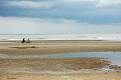 Cliquez sur l'image pour la voir en taille relle 

Nom : 		DSC_0042bis.jpg 
Affichages :	152 
Taille :		29,3 Ko 
ID : 			4029225