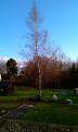 Cliquez sur l'image pour la voir en taille relle 

Nom : 		IMAG0005.jpg 
Affichages :	195 
Taille :		89,6 Ko 
ID : 			4031370