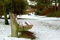 Cliquez sur l'image pour la voir en taille relle 

Nom : 		Neige 1.jpg 
Affichages :	86 
Taille :		31,9 Ko 
ID : 			4031818
