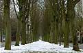 Cliquez sur l'image pour la voir en taille relle 

Nom : 		Neige 2.jpg 
Affichages :	90 
Taille :		45,8 Ko 
ID : 			4031819