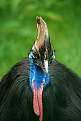 Cliquez sur l'image pour la voir en taille relle 

Nom : 		DSC_9025 bis.jpg 
Affichages :	95 
Taille :		47,5 Ko 
ID : 			4034996