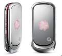 Cliquez sur l'image pour la voir en taille relle 

Nom : 		motorola-pebl-rose-bloom.jpg 
Affichages :	854 
Taille :		34,1 Ko 
ID : 			4069925