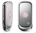 Cliquez sur l'image pour la voir en taille relle 

Nom : 		motorola-pebl-rose-bloom.jpg 
Affichages :	819 
Taille :		34,1 Ko 
ID : 			4069925