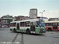 035441